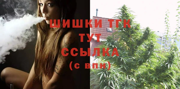 бошки Верея