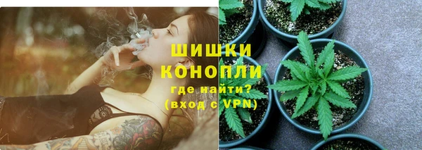 бошки Верея
