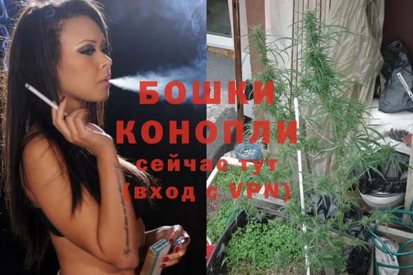 бошки Верея