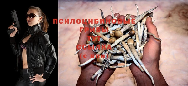 мдпв Бородино